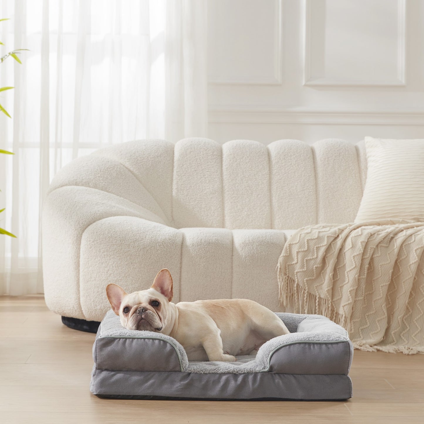 Orthopedic Bolster Dog & Cat Sofa Bed