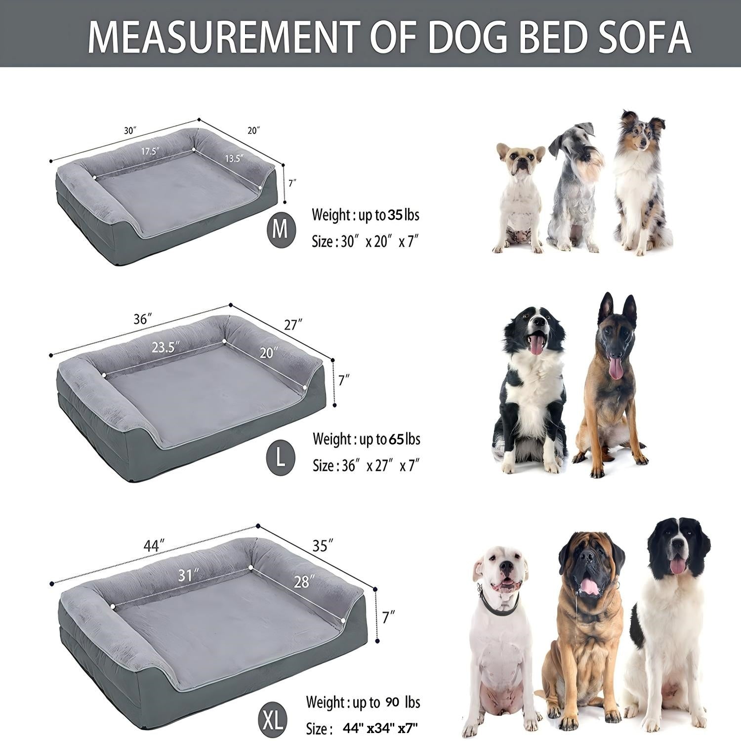 Orthopedic Bolster Dog & Cat Bed