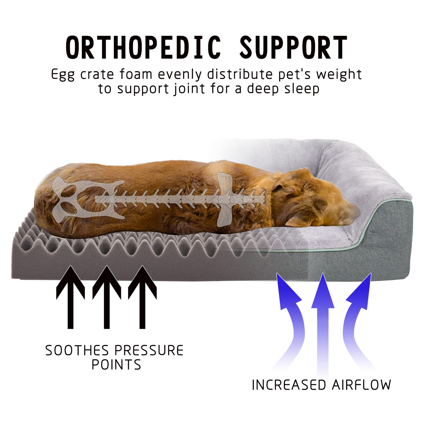 Orthopedic Bolster Dog & Cat Bed