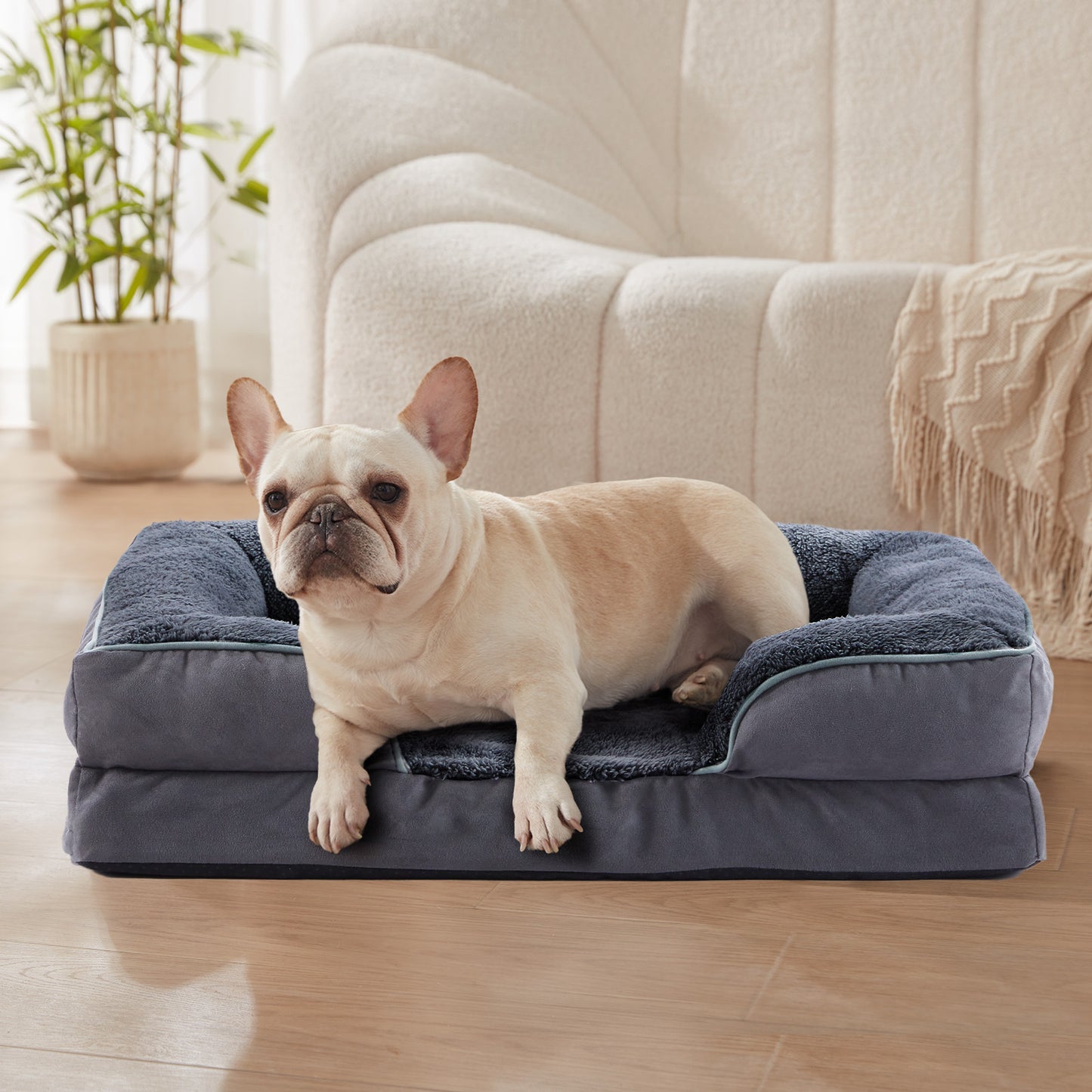 Orthopedic Bolster Dog & Cat Sofa Bed