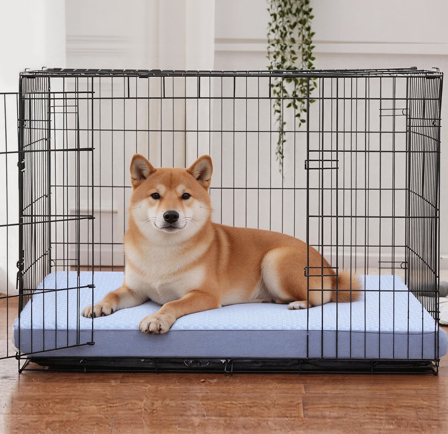 Cooling Orthopedic Dog Bed with Removable Cover
