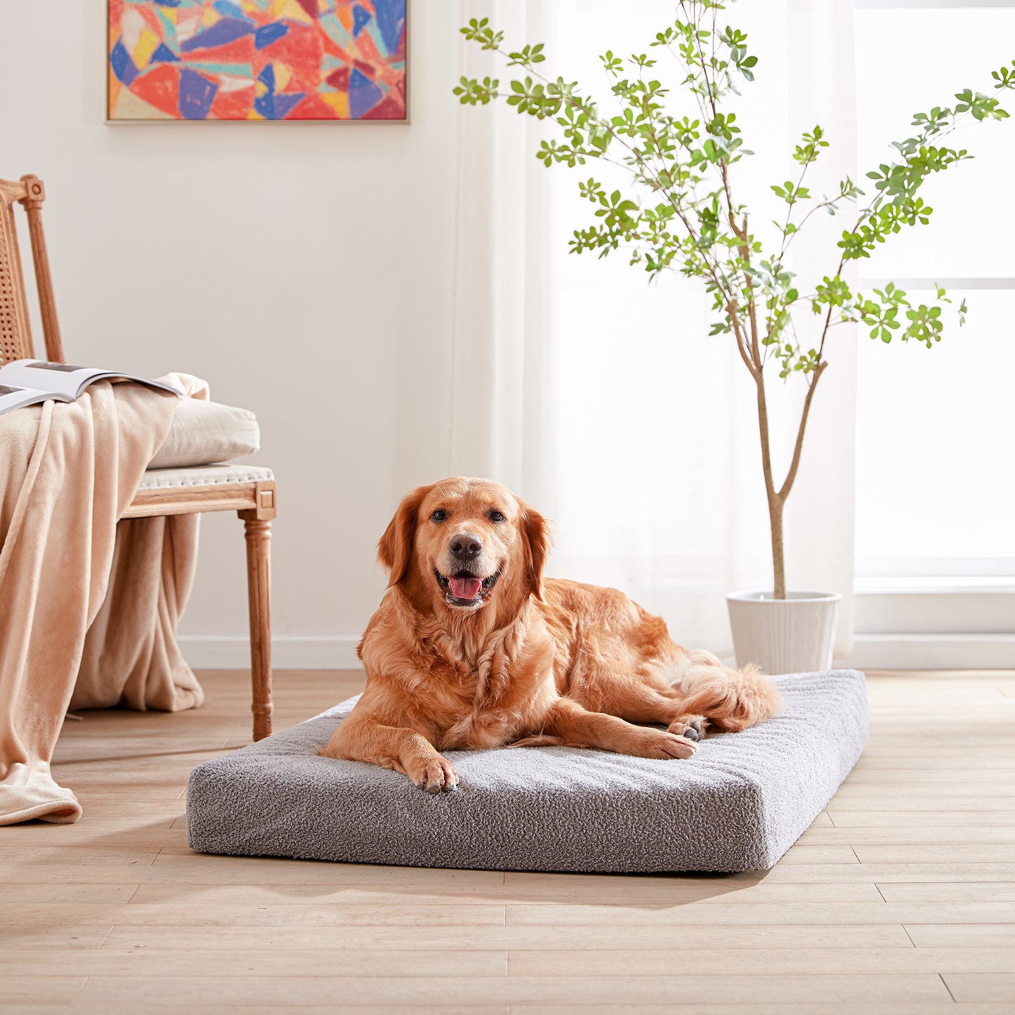 LFC PETS  Memory Foam Dog Bed with Removable Cover and Waterproof Liner