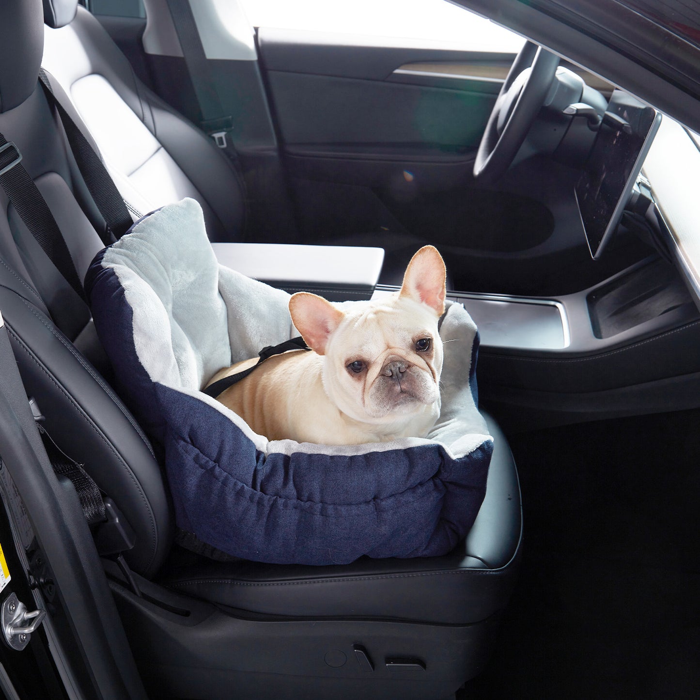 Portable Washable Warm Soft Dog Car Seats for Small Dogs