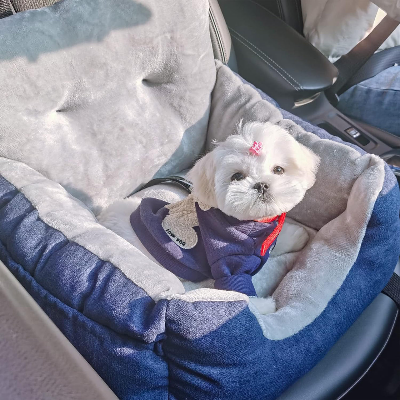Portable Washable Warm Soft Dog Car Seats for Small Dogs