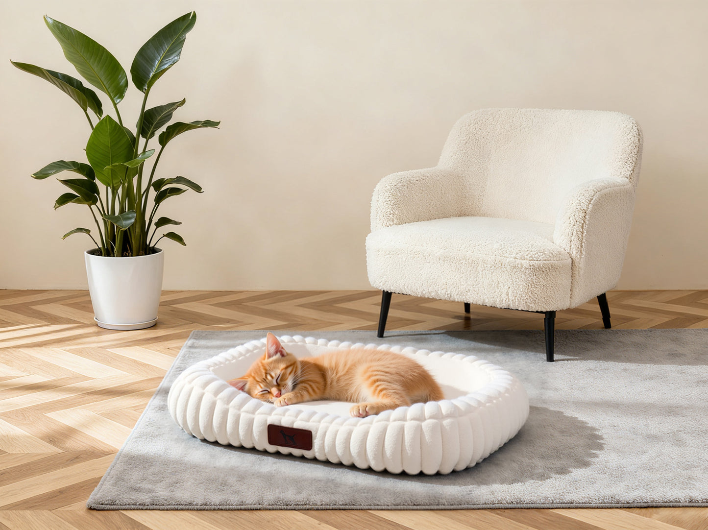 Washable Bolster Dog & Cat Bed with Removable Inner Cushion