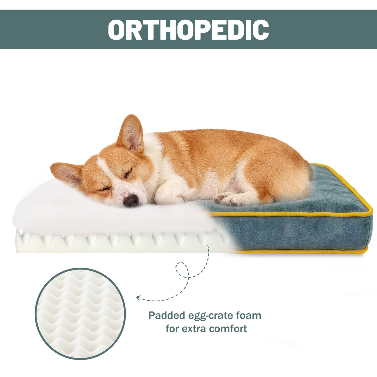 Fully Assembled Wooden Dog & Cat Sofa Bed