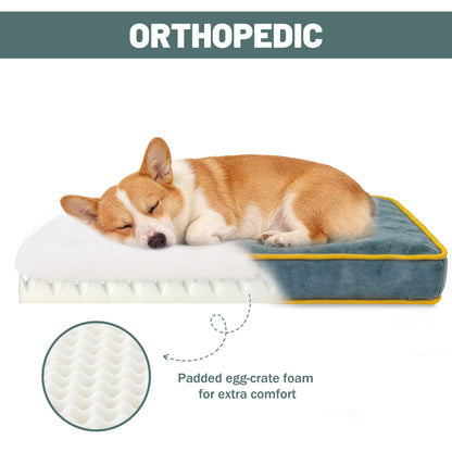 Fully Assembled Wooden Dog & Cat Sofa Bed