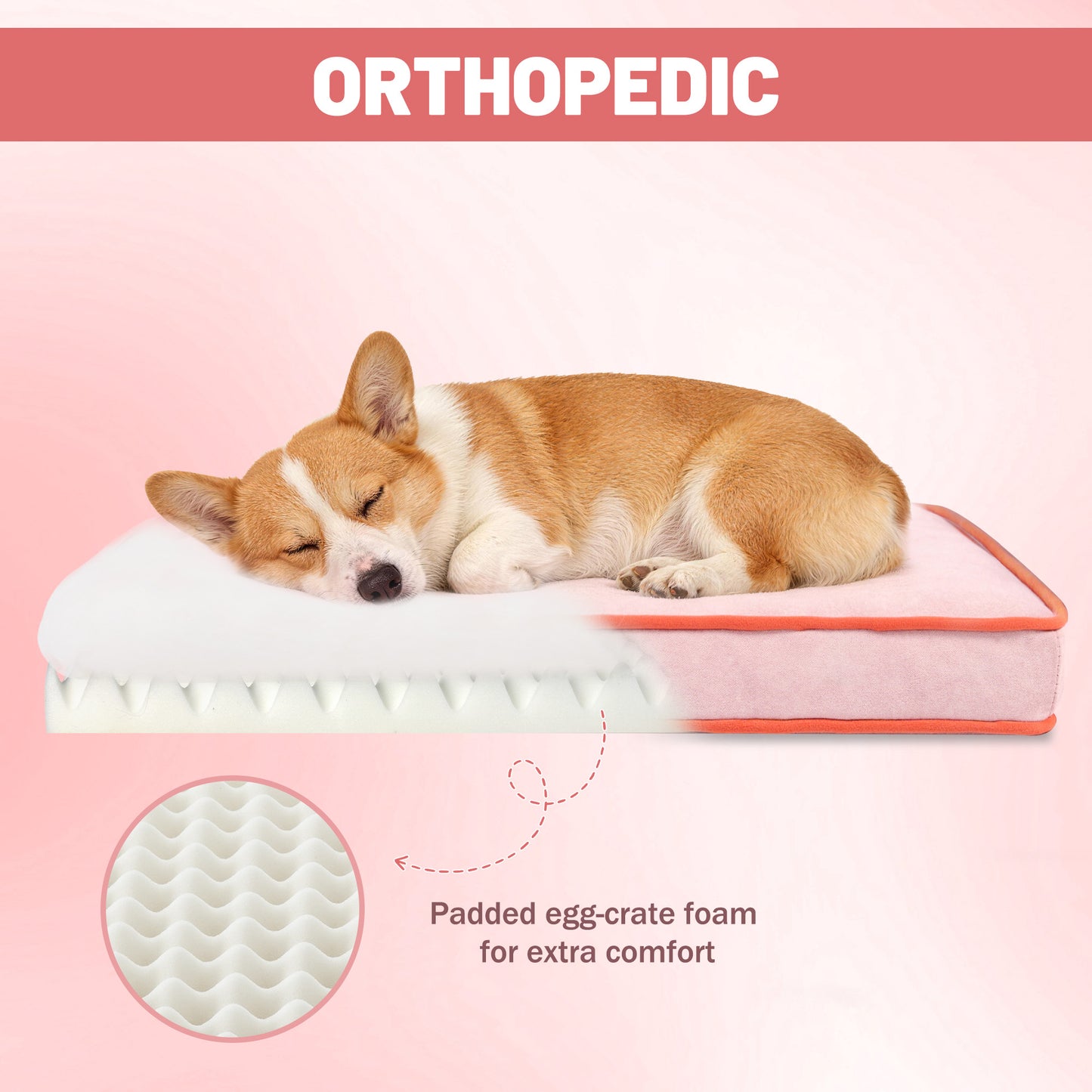 Fully Assembled Wooden Dog & Cat Sofa Bed