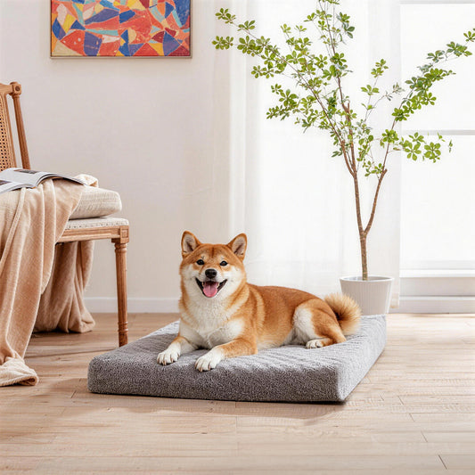 LFC PETS  Memory Foam Dog Bed with Removable Cover and Waterproof Liner
