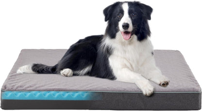 Plush Memory Foam Orthopedic Dog Beds with Removable Washable Cover & Waterproof Lining