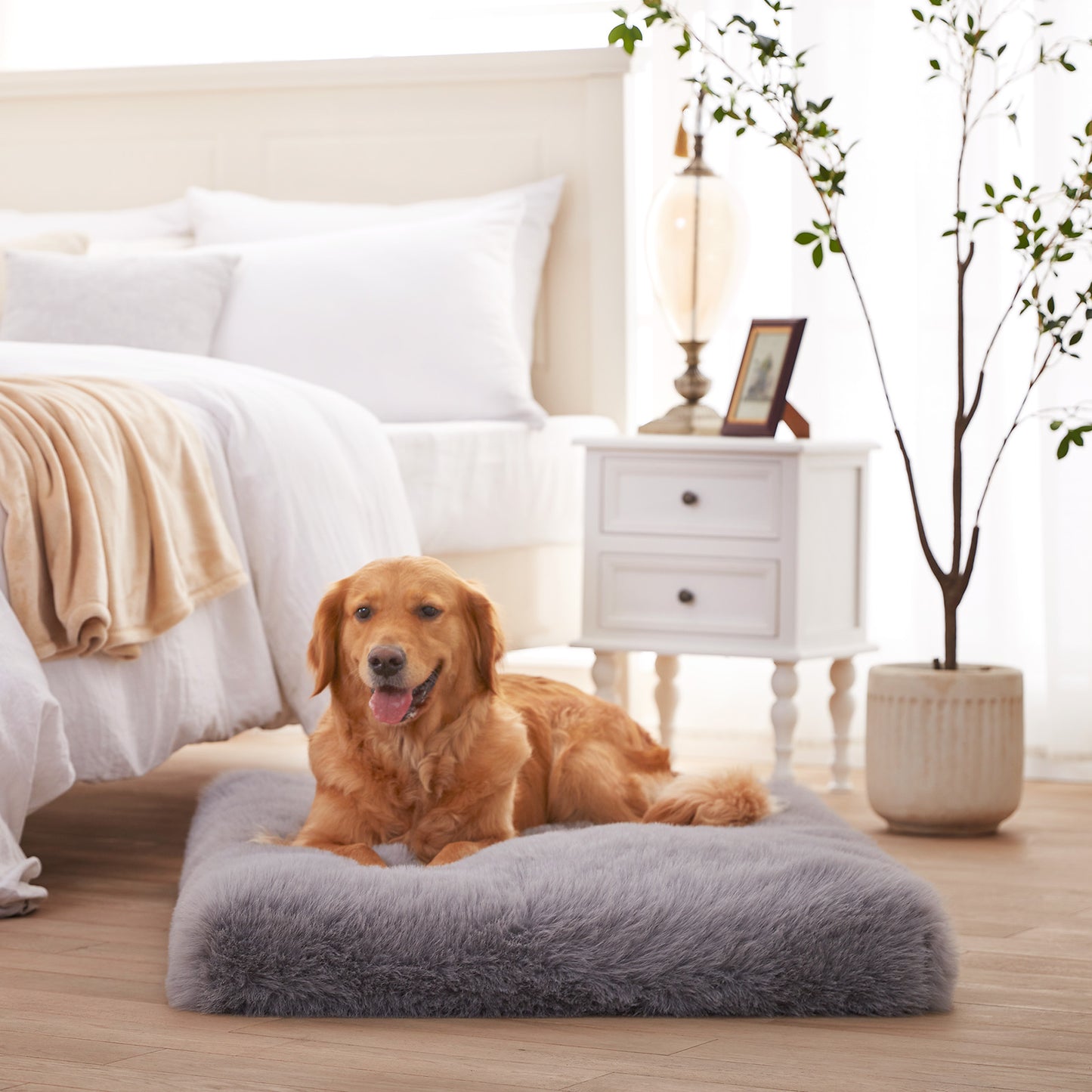 Plush Fluffy Orthopedic Washable Dog Bed