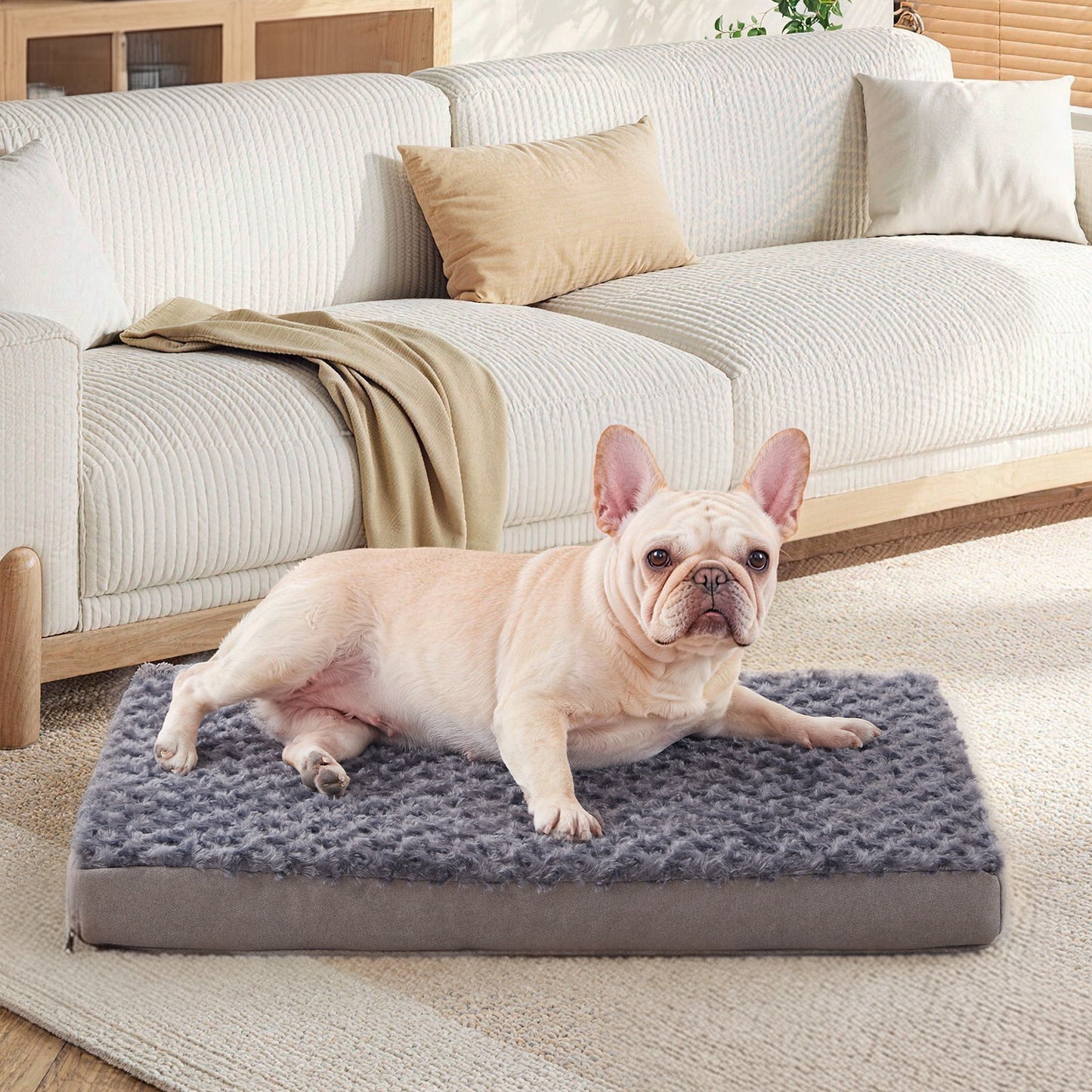 Plush Memory Foam Washable Dog Bed