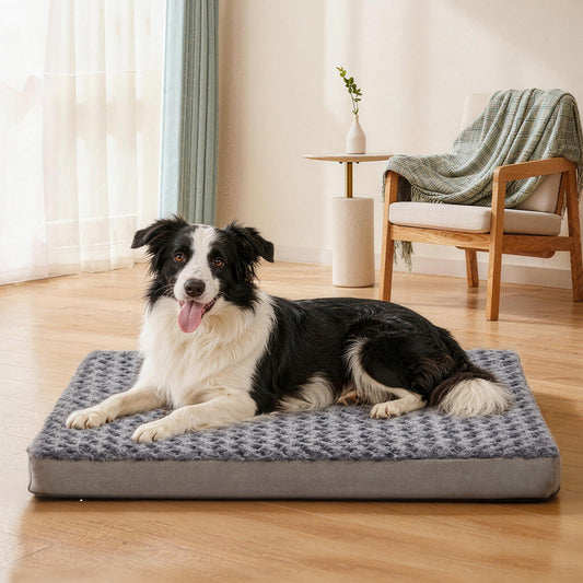 Plush Memory Foam Washable Dog Bed