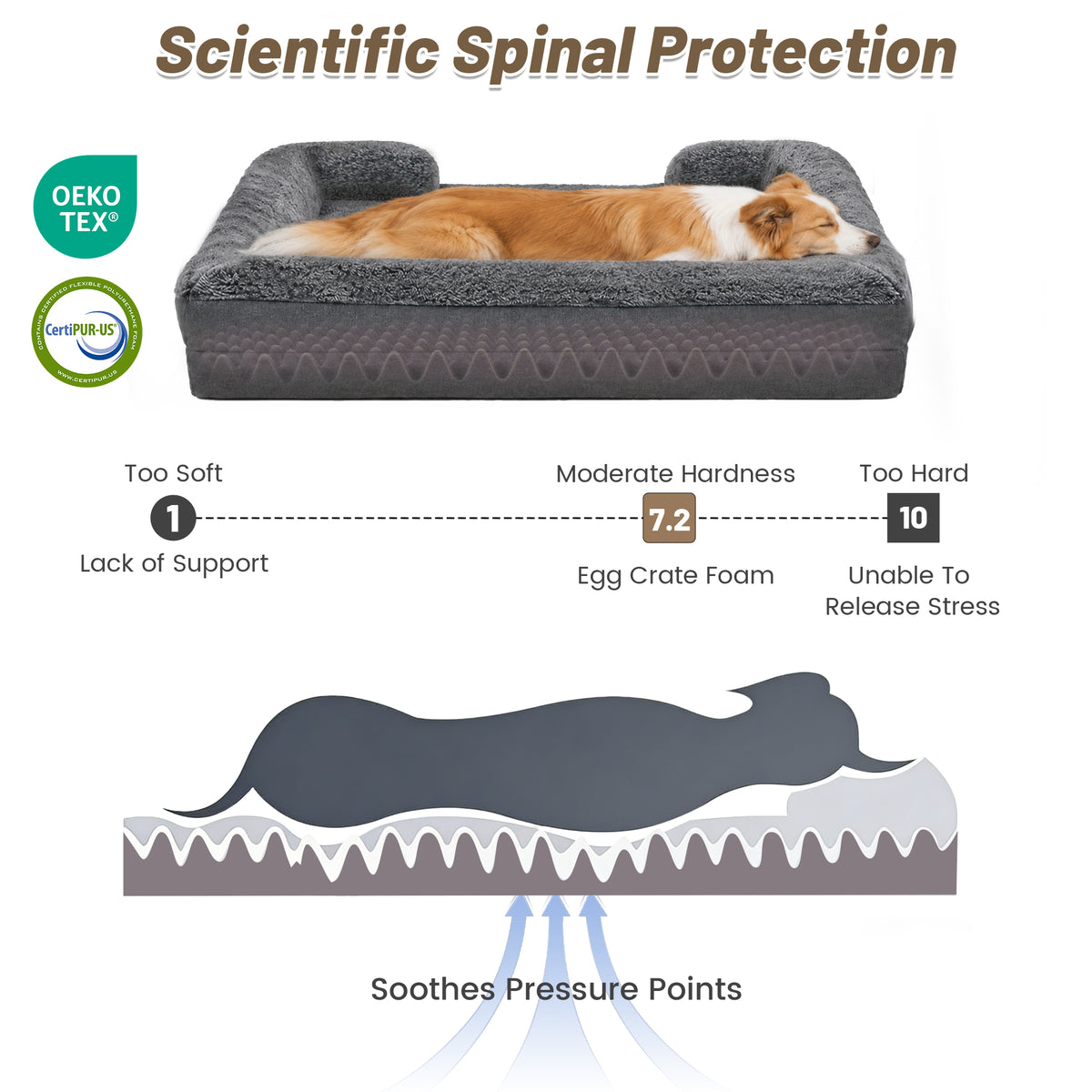 Cozy Orthopedic Sofa Dog Bed with High Back & Removable Washable Cover