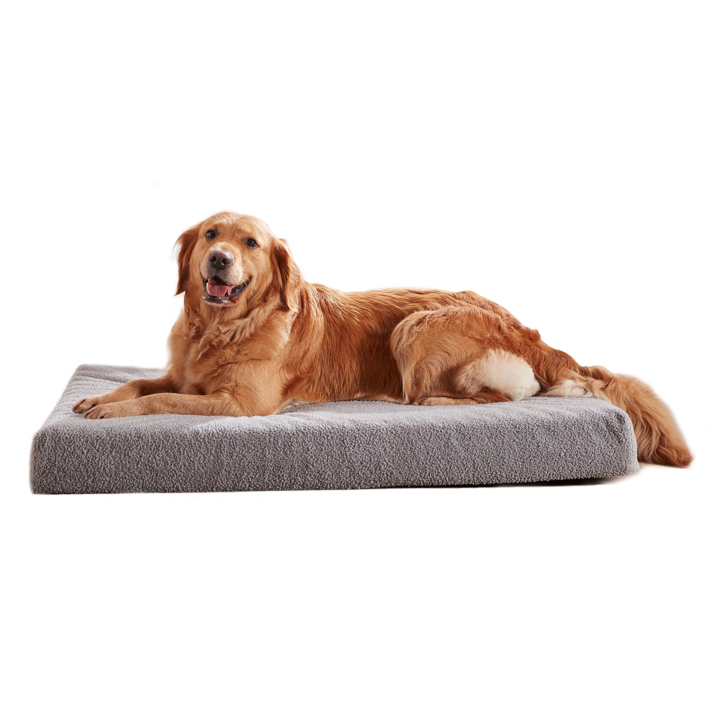 LFC PETS  Memory Foam Dog Bed with Removable Cover and Waterproof Liner