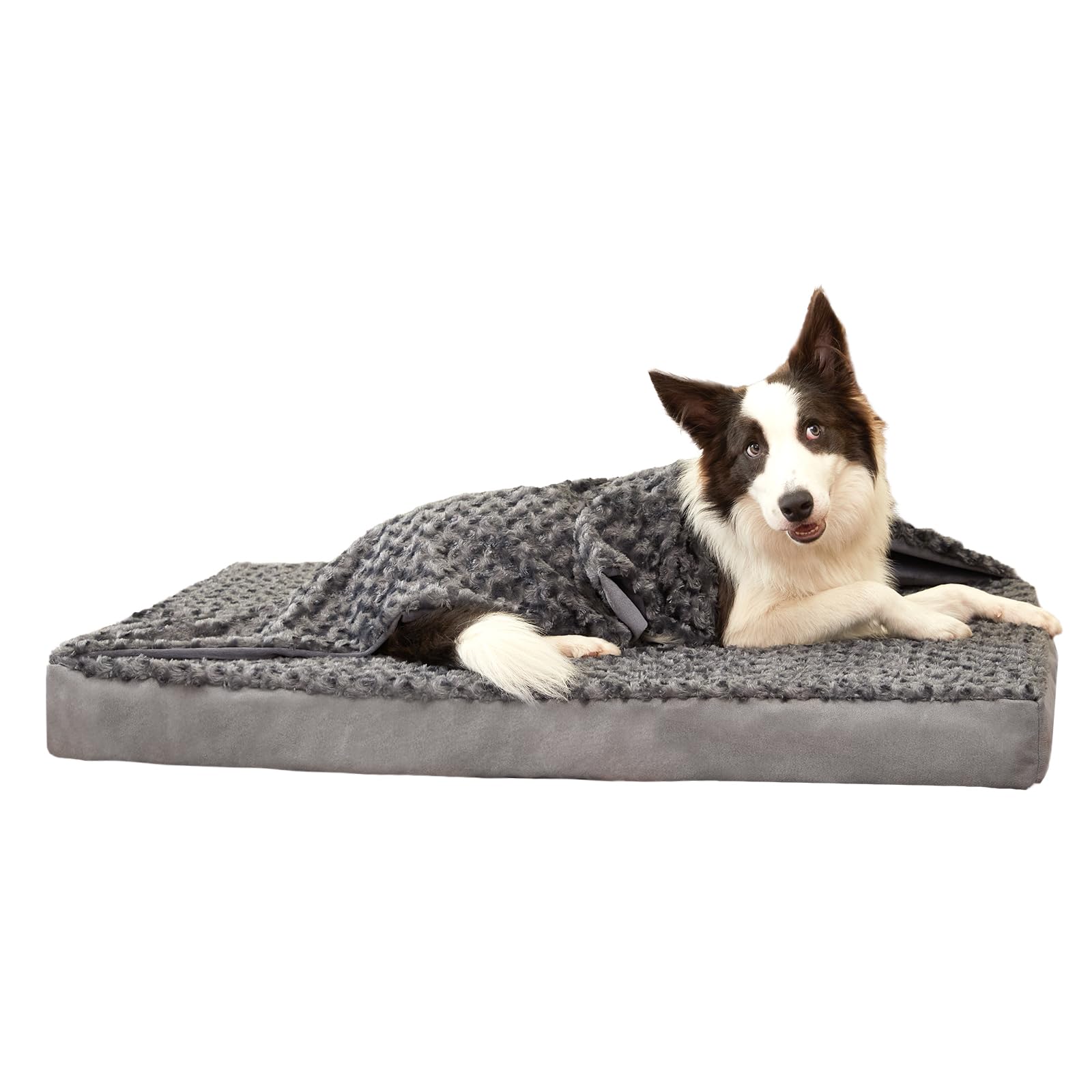 Plush Memory Foam Washable Dog Bed