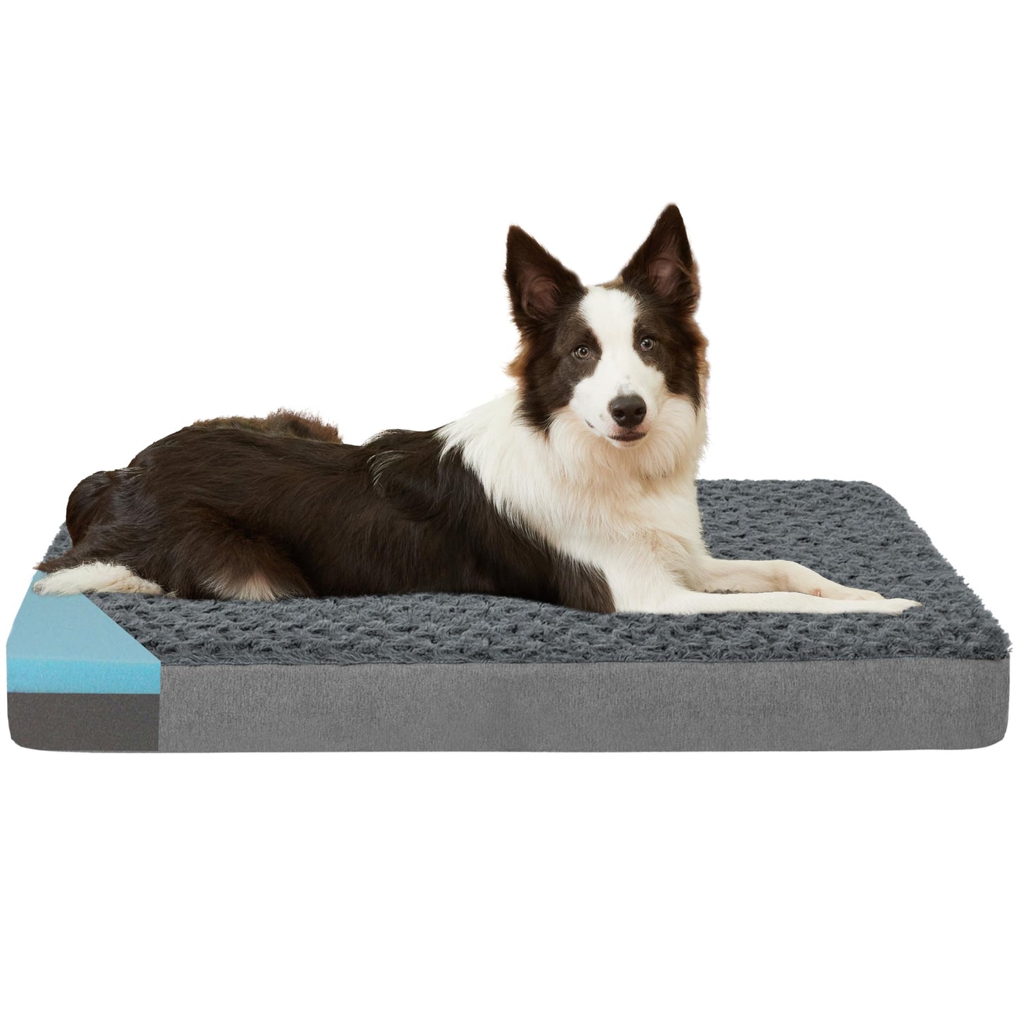 Plush Memory Foam Washable Dog Bed