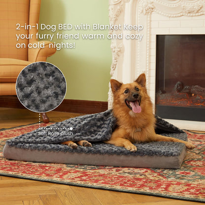 Plush Memory Foam Washable Dog Bed