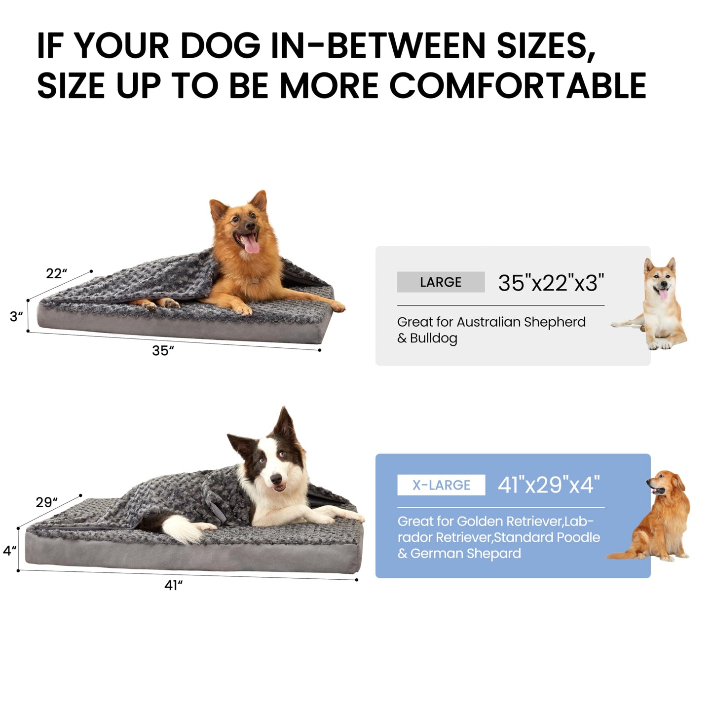 Plush Memory Foam Washable Dog Bed
