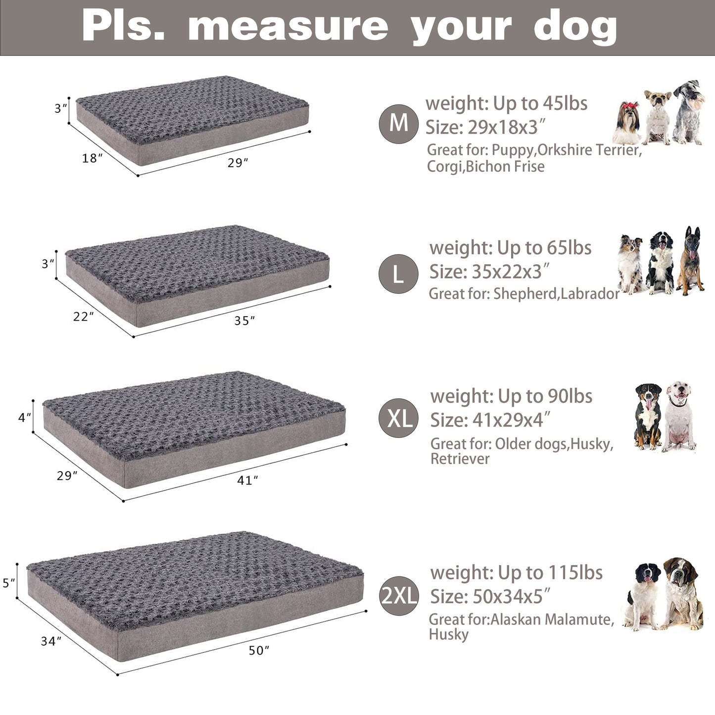 Plush Memory Foam Washable Dog Bed