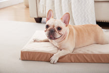 Load image into Gallery viewer, LFC PETS  Waterproof Dog Bed for Large Dogs, Orthopedic Dog Bed with Machine Washable Cover, Comfy Touch Dog Bed for Medium, Large, Extra Large Dogs

