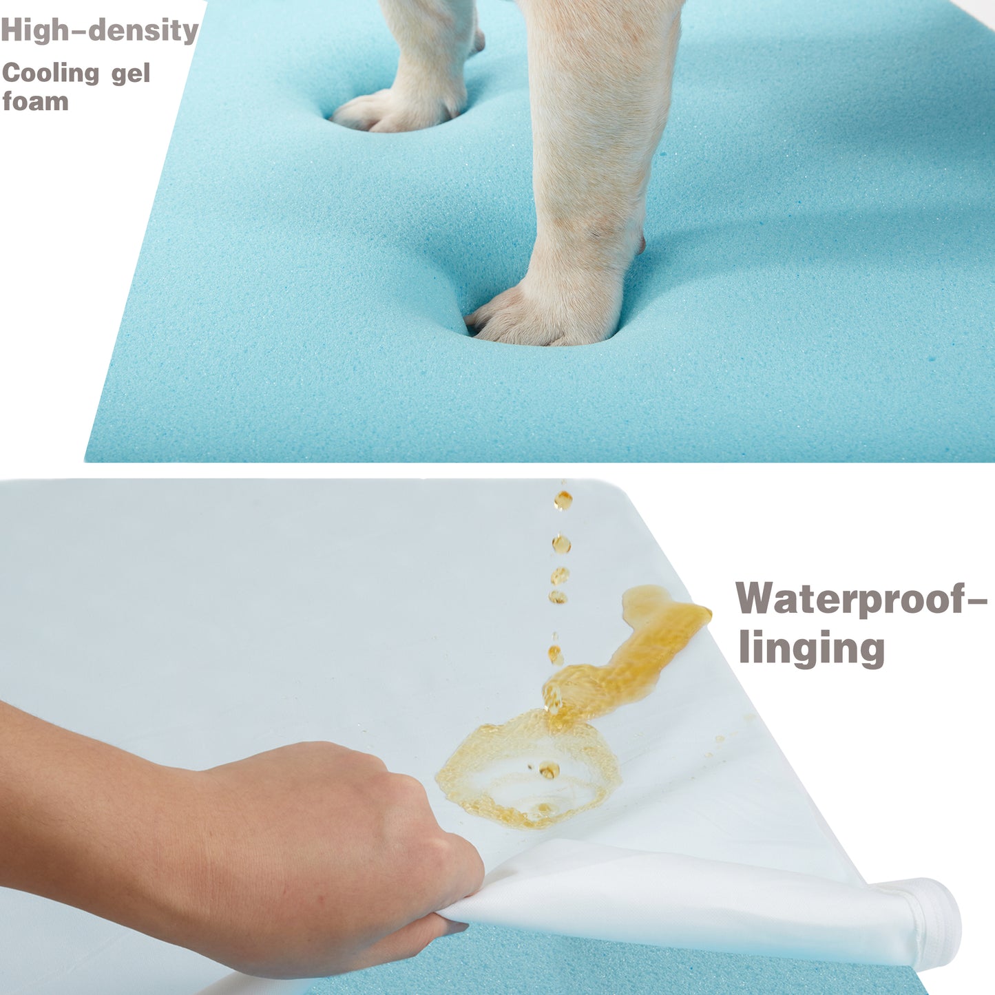 Plush Memory Foam Washable Dog Bed