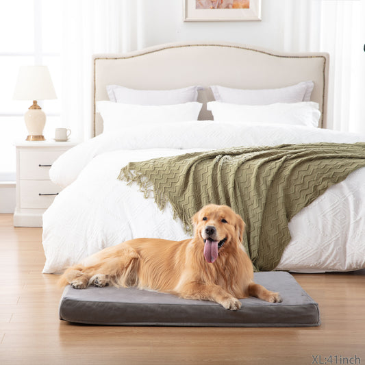 Memory Foam Removable Cover Dog Bed