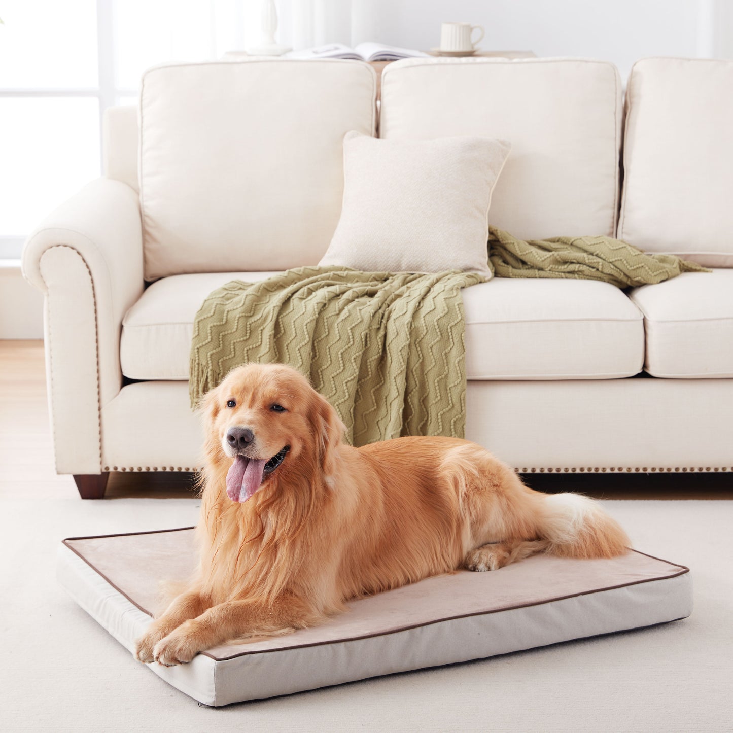 Memory Foam Removable Cover Dog Bed