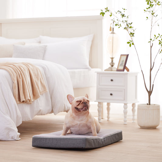 Plush Memory Foam Orthopedic Dog Beds with Removable Washable Cover & Waterproof Lining