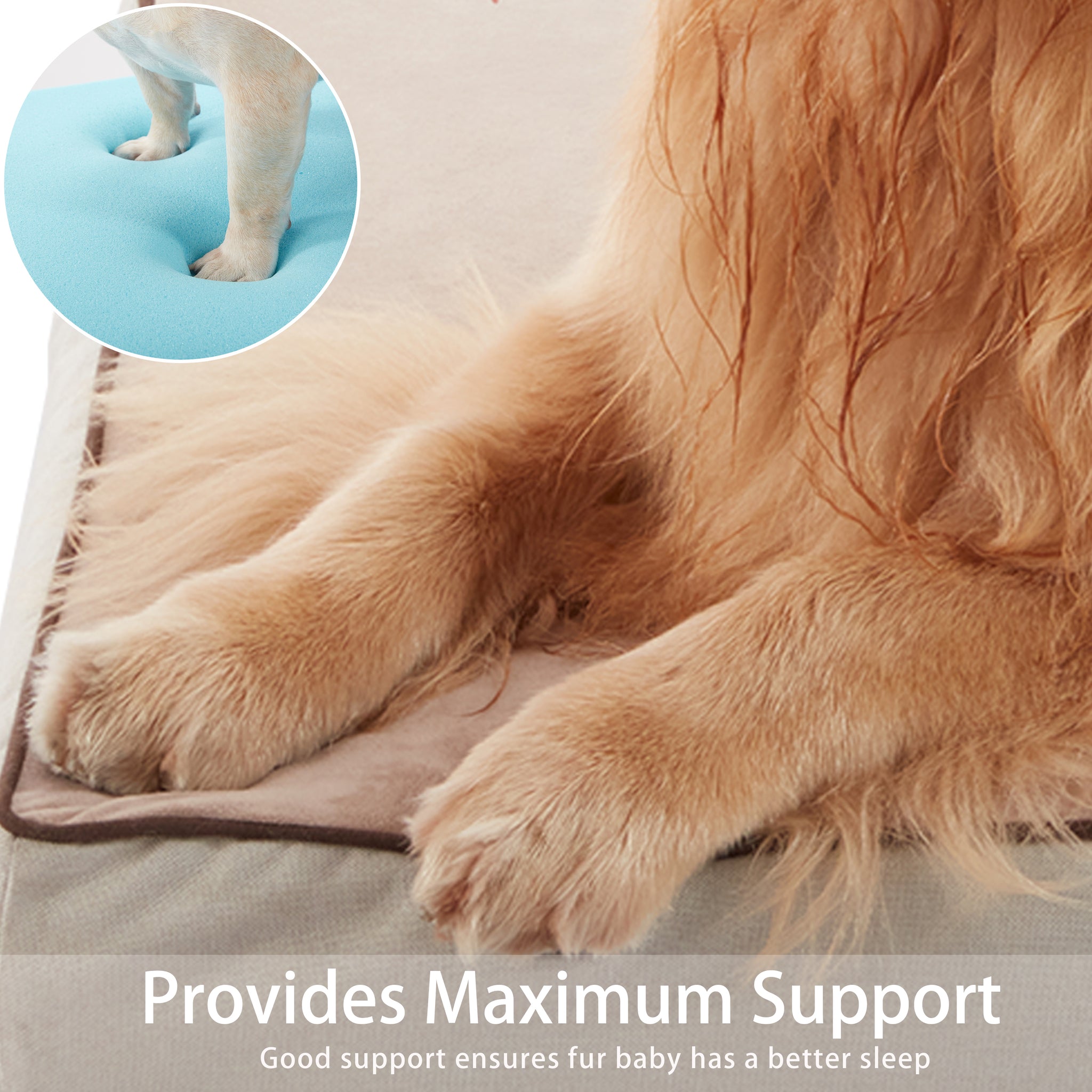 Memory Foam Removable Cover Dog Bed
