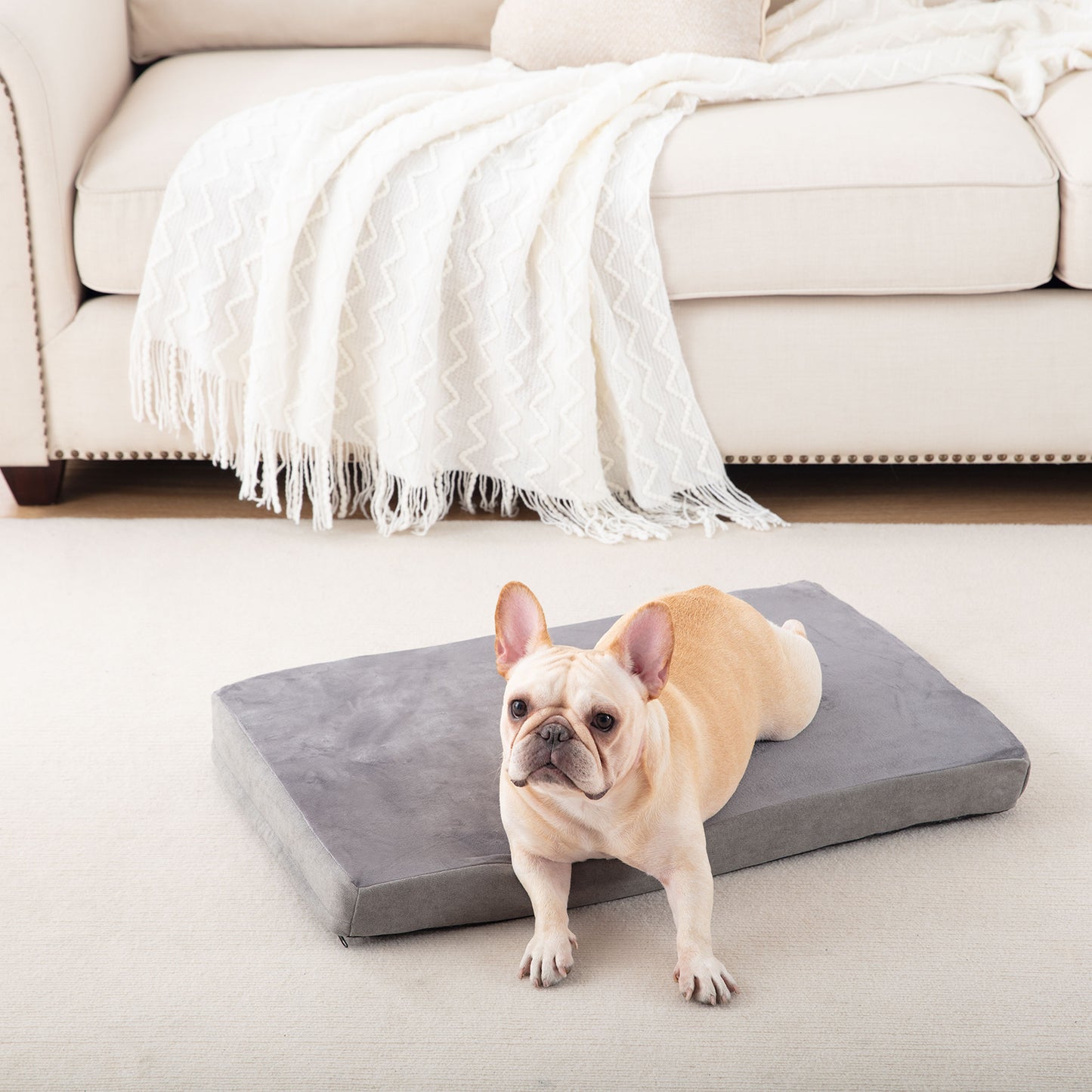 Memory Foam Removable Cover Dog Bed