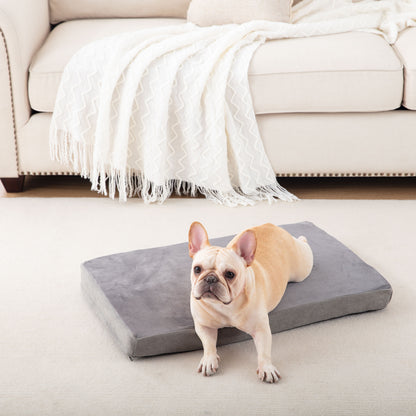Memory Foam Removable Cover Dog Bed