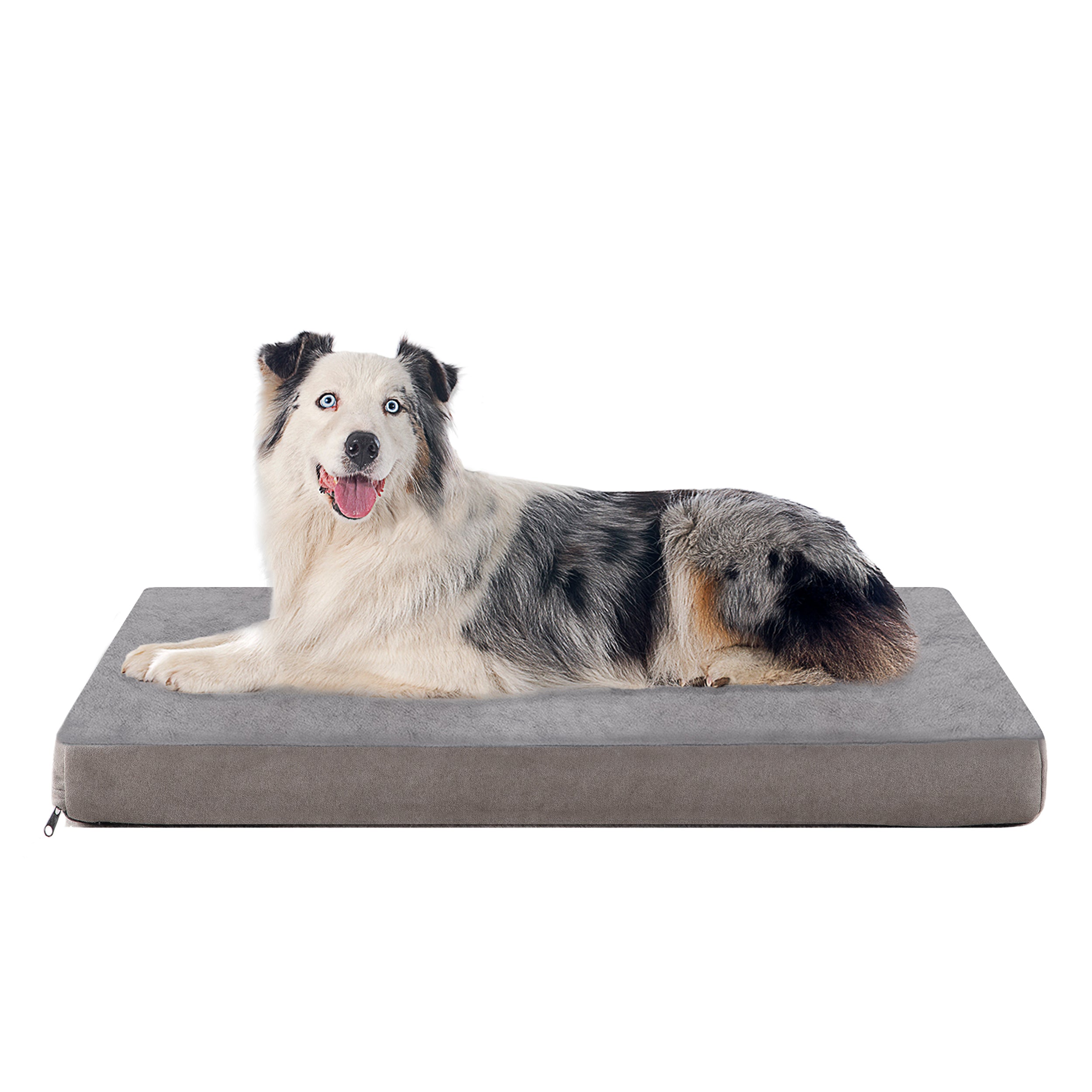 Memory Foam Removable Cover Dog Bed