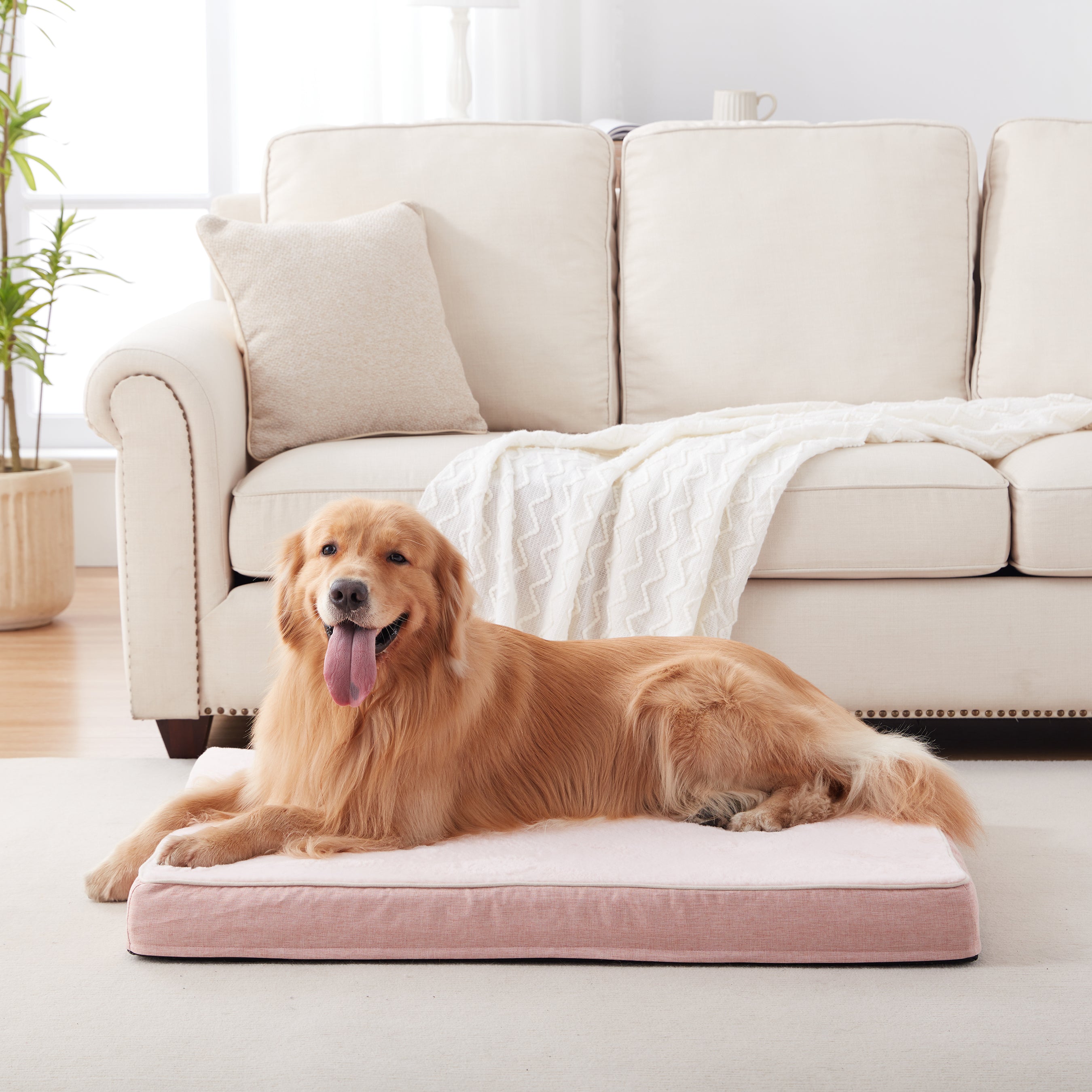 Plush Memory Foam Orthopedic Dog Beds with Removable Washable Cover & Waterproof Lining