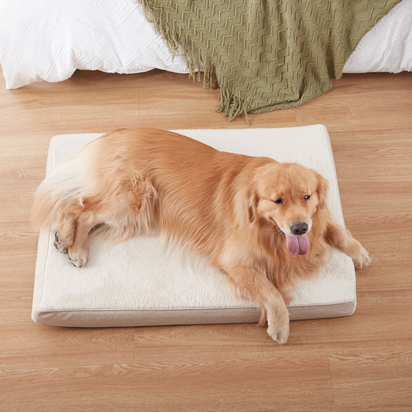 Plush Memory Foam Orthopedic Dog Beds with Removable Washable Cover & Waterproof Lining
