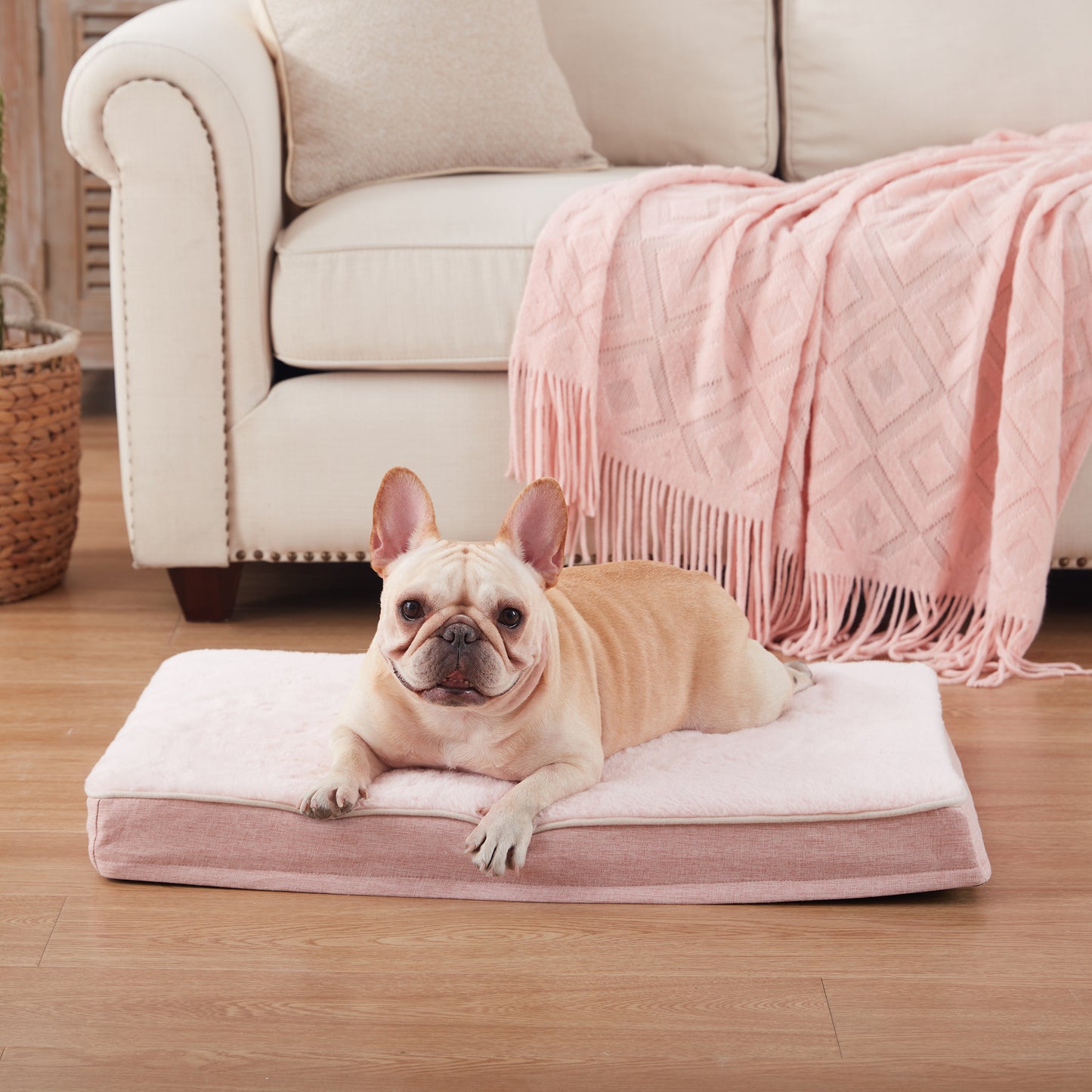 Plush Memory Foam Orthopedic Dog Beds with Removable Washable Cover & Waterproof Lining