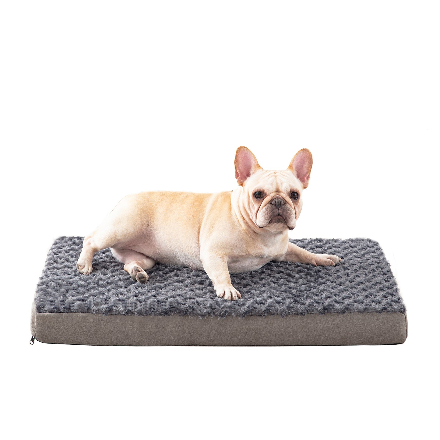 Plush Memory Foam Washable Dog Bed
