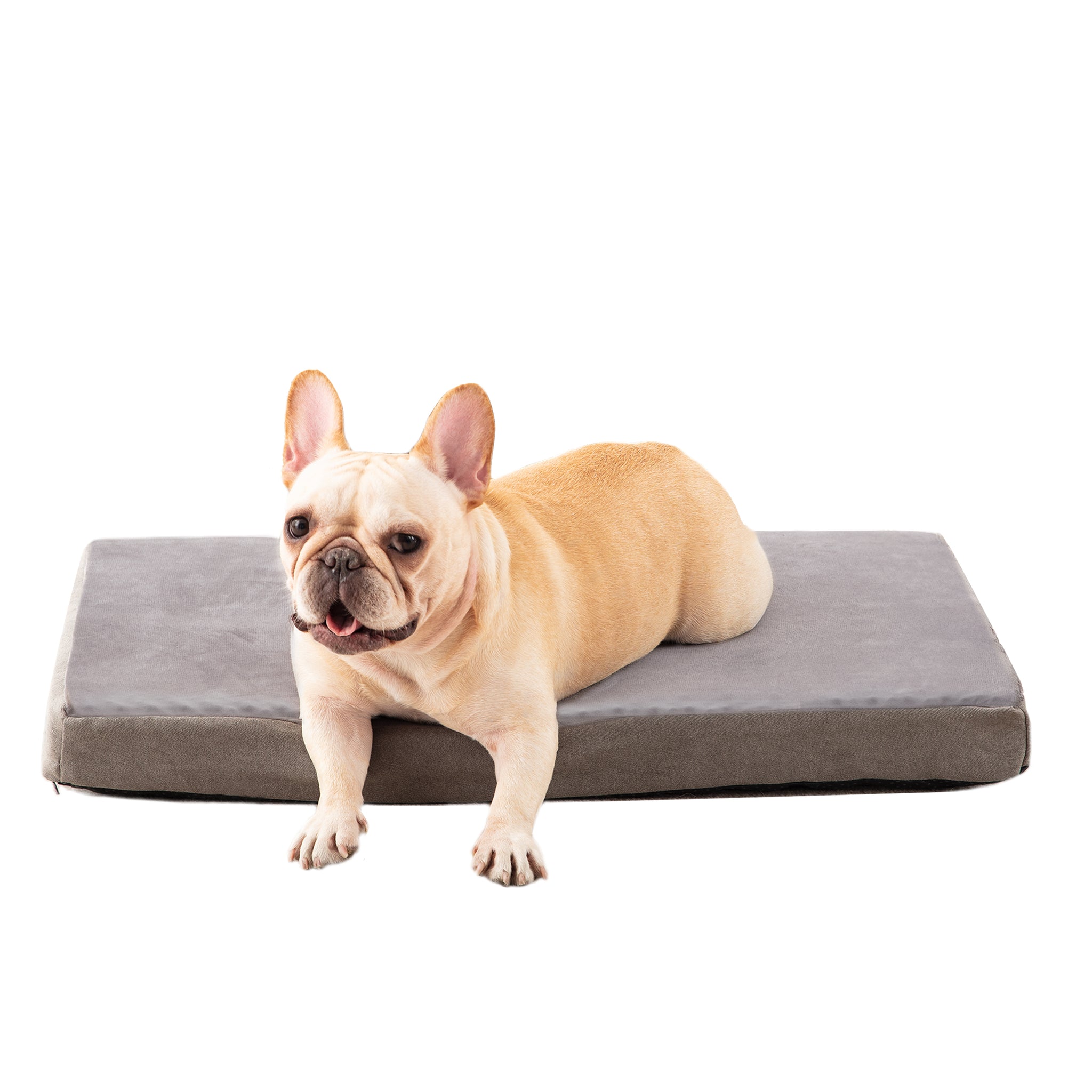 Memory Foam Removable Cover Dog Bed