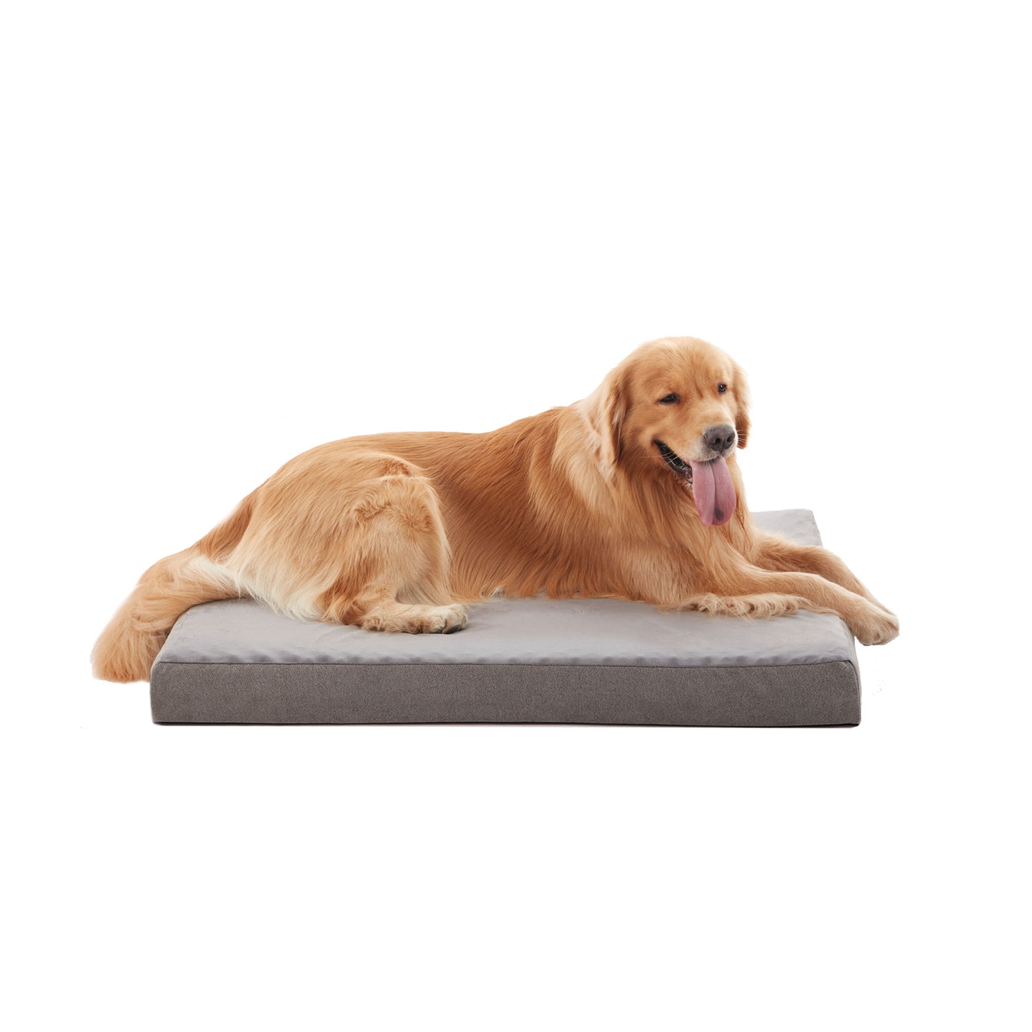 Memory Foam Removable Cover Dog Bed